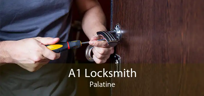 A1 Locksmith Palatine