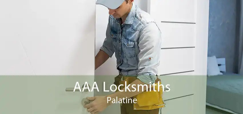 AAA Locksmiths Palatine