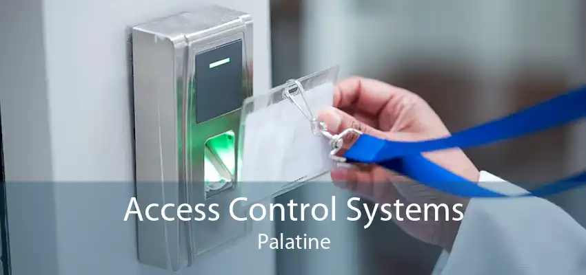 Access Control Systems Palatine