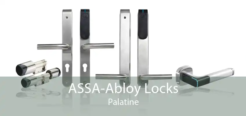 ASSA-Abloy Locks Palatine