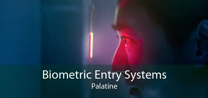 Biometric Entry Systems Palatine