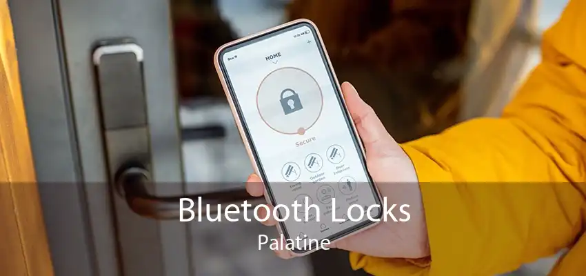 Bluetooth Locks Palatine