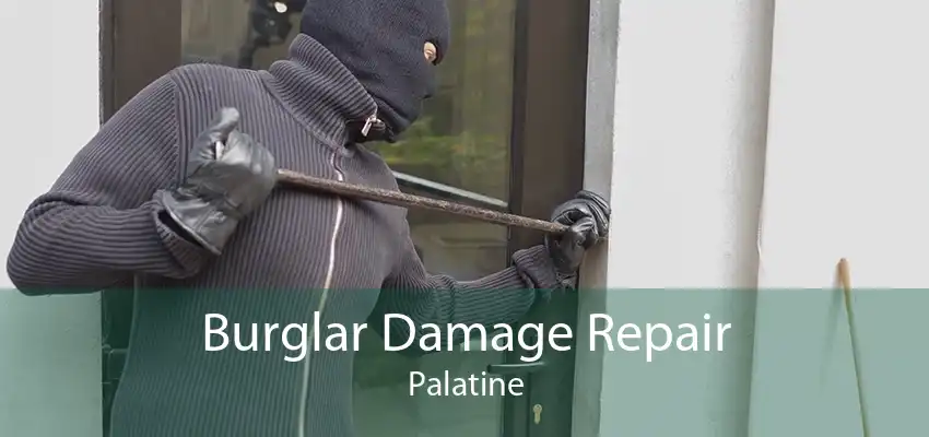 Burglar Damage Repair Palatine