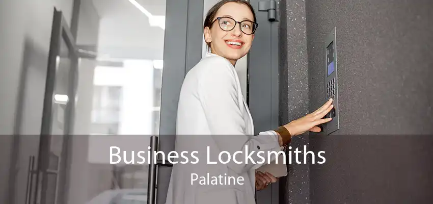 Business Locksmiths Palatine