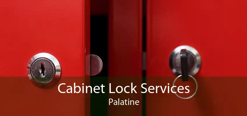 Cabinet Lock Services Palatine