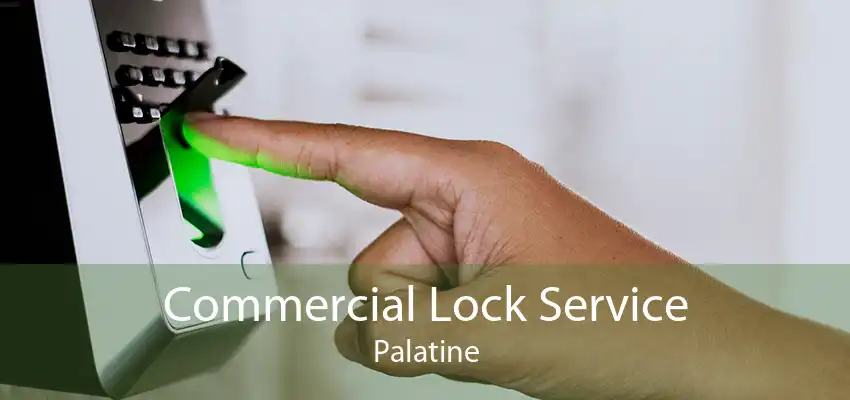 Commercial Lock Service Palatine