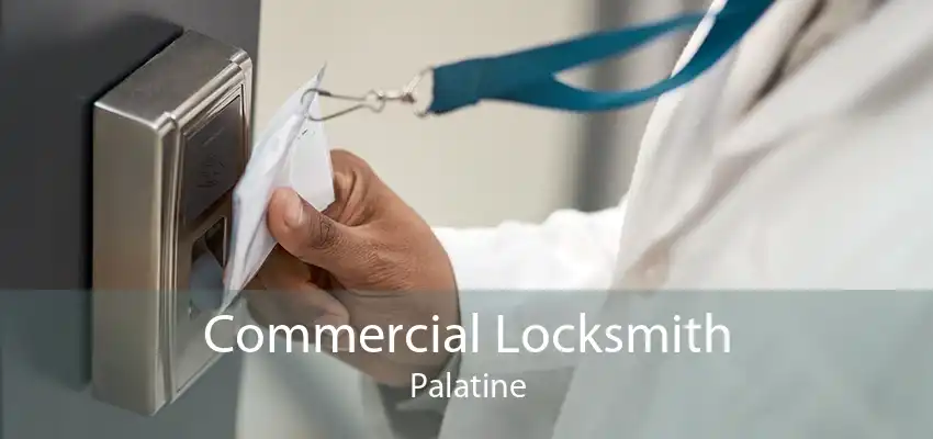 Commercial Locksmith Palatine