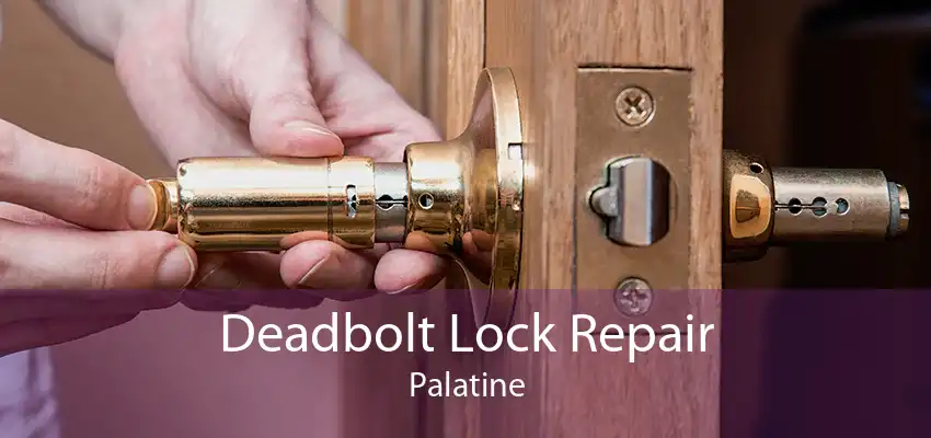 Deadbolt Lock Repair Palatine