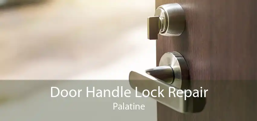 Door Handle Lock Repair Palatine