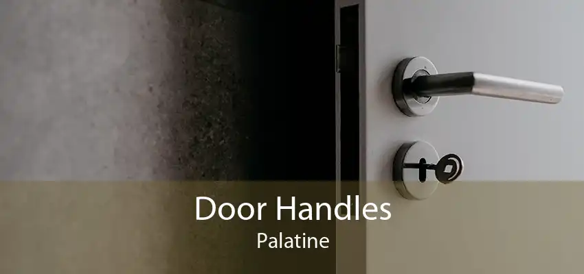 Door Handles Palatine