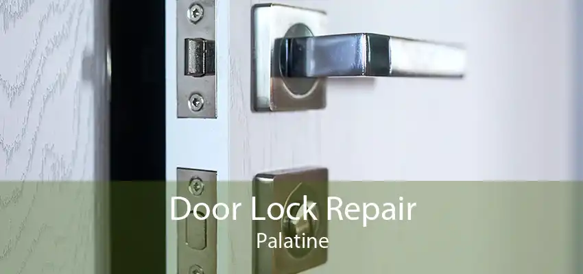 Door Lock Repair Palatine