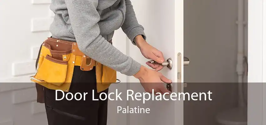 Door Lock Replacement Palatine