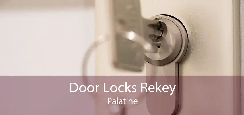 Door Locks Rekey Palatine