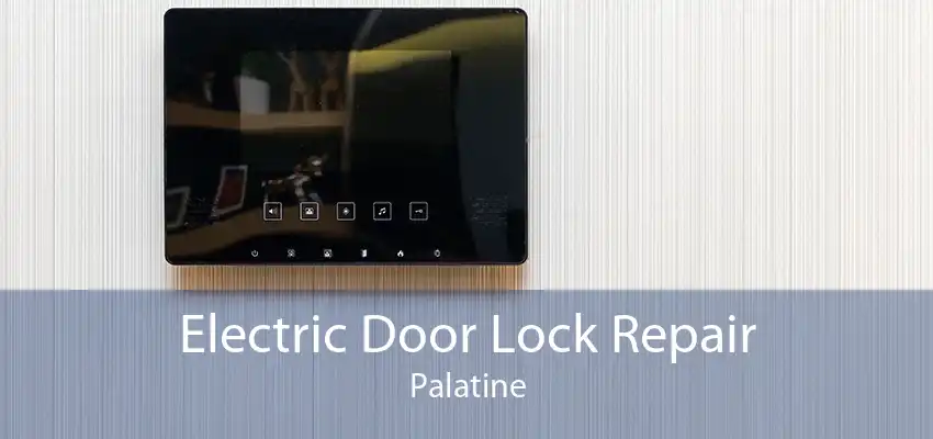 Electric Door Lock Repair Palatine