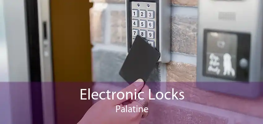 Electronic Locks Palatine