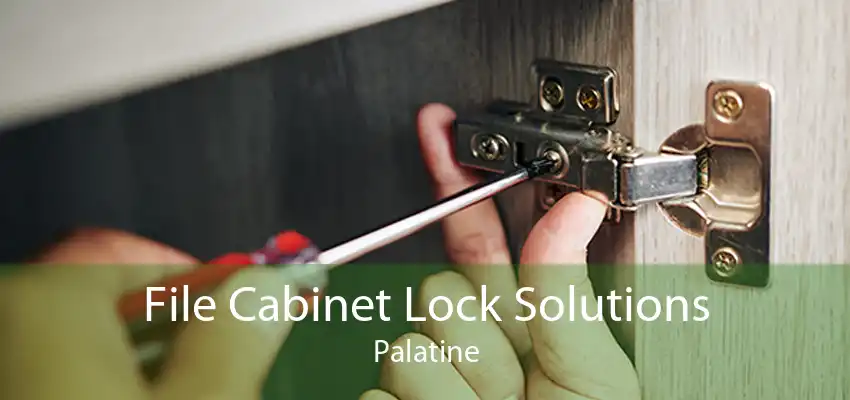 File Cabinet Lock Solutions Palatine