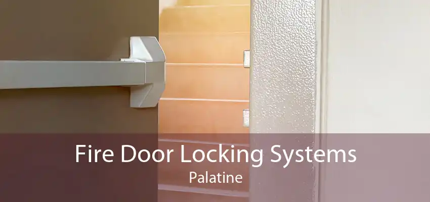 Fire Door Locking Systems Palatine