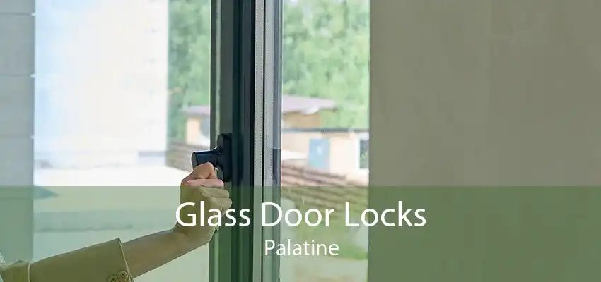Glass Door Locks Palatine