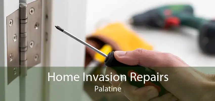 Home Invasion Repairs Palatine