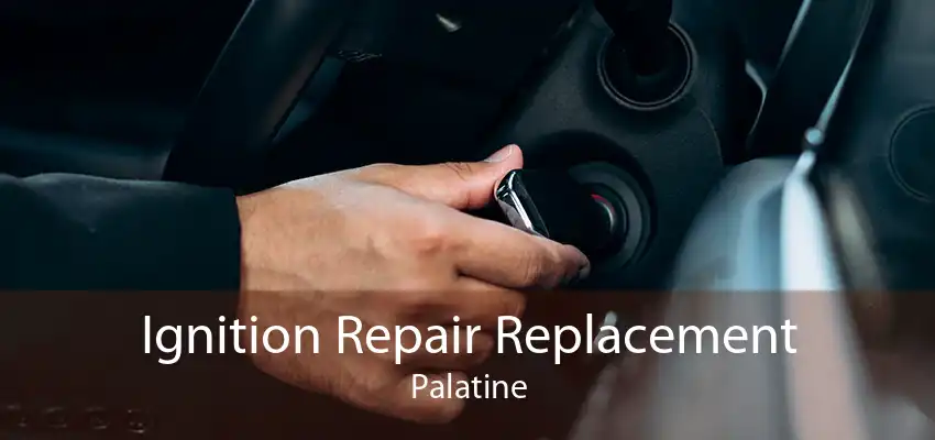 Ignition Repair Replacement Palatine
