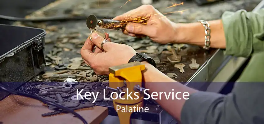 Key Locks Service Palatine