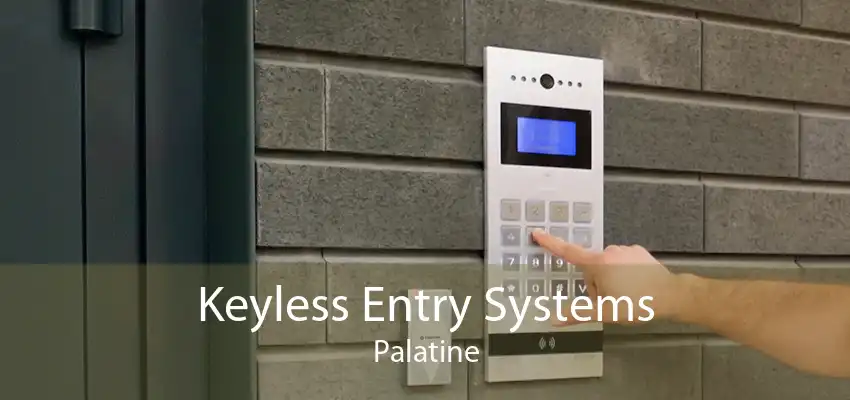 Keyless Entry Systems Palatine