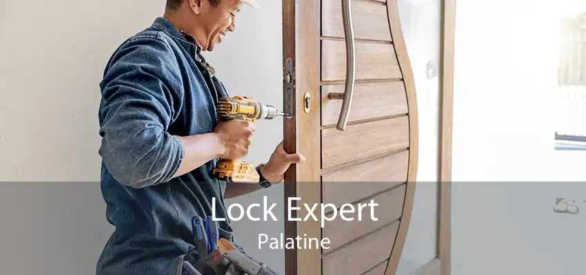 Lock Expert Palatine