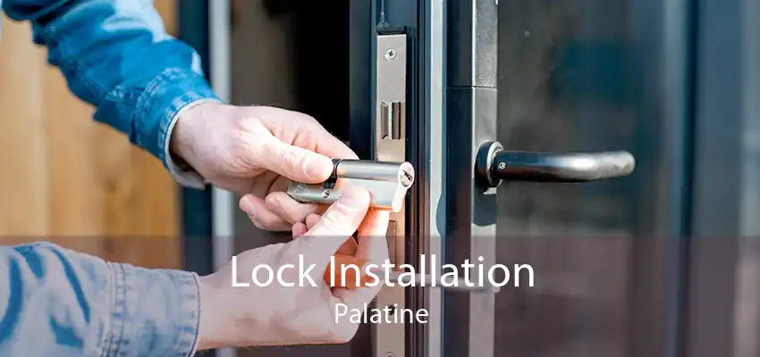 Lock Installation Palatine