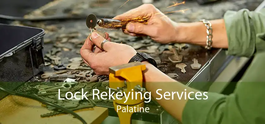 Lock Rekeying Services Palatine