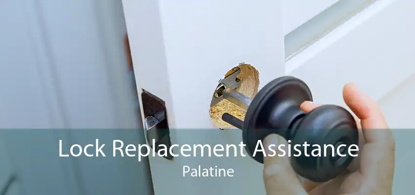 Lock Replacement Assistance Palatine