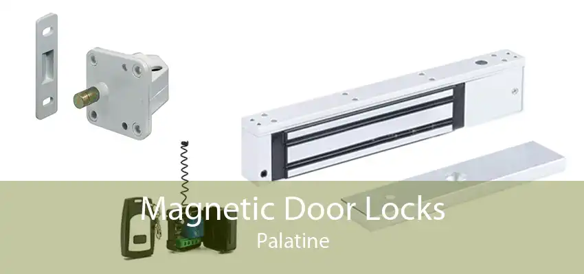 Magnetic Door Locks Palatine