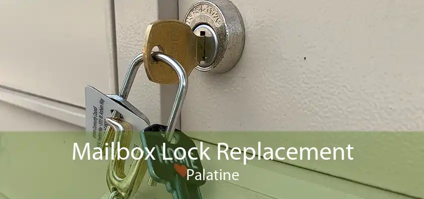Mailbox Lock Replacement Palatine