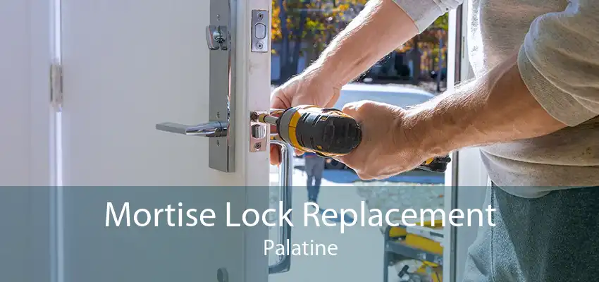 Mortise Lock Replacement Palatine