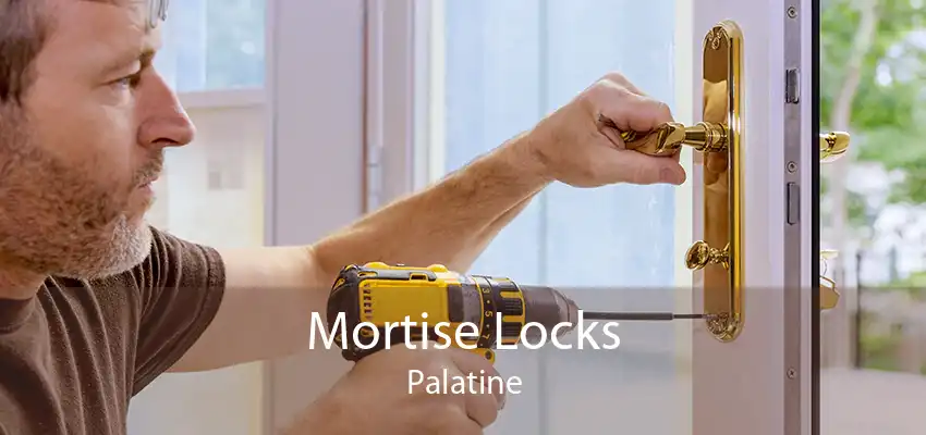 Mortise Locks Palatine