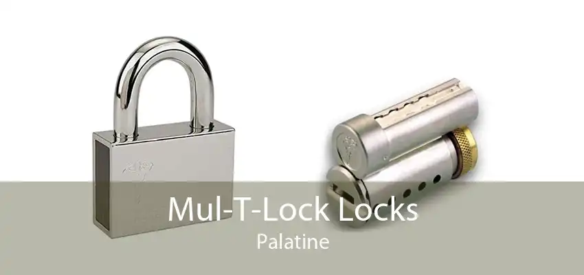 Mul-T-Lock Locks Palatine