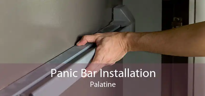 Panic Bar Installation Palatine