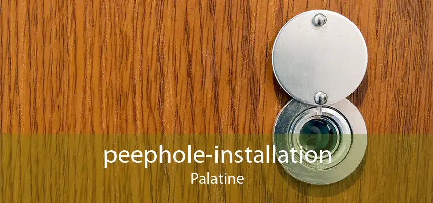 peephole-installation Palatine