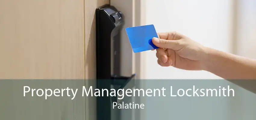 Property Management Locksmith Palatine
