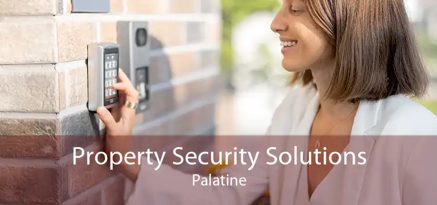 Property Security Solutions Palatine