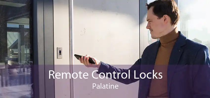Remote Control Locks Palatine