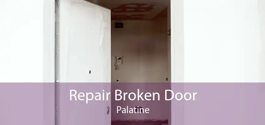 Repair Broken Door Palatine