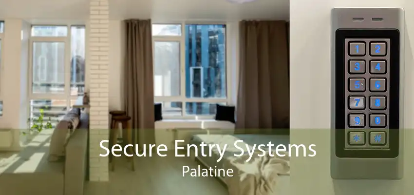 Secure Entry Systems Palatine