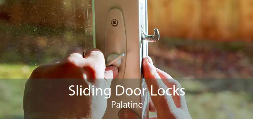 Sliding Door Locks Palatine