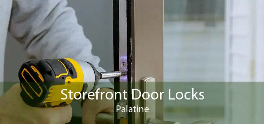Storefront Door Locks Palatine