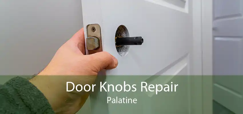 Door Knobs Repair Palatine