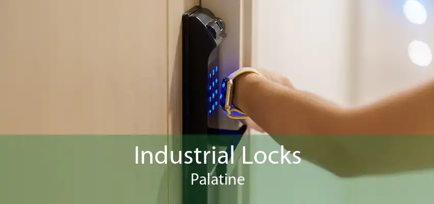 Industrial Locks Palatine
